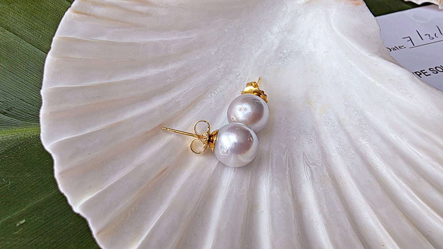 South Sea Pearl Stud Earrings