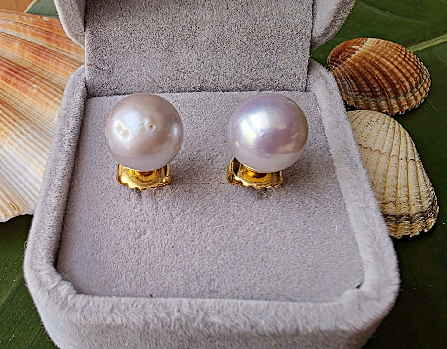South Sea Pearl Stud Earrings