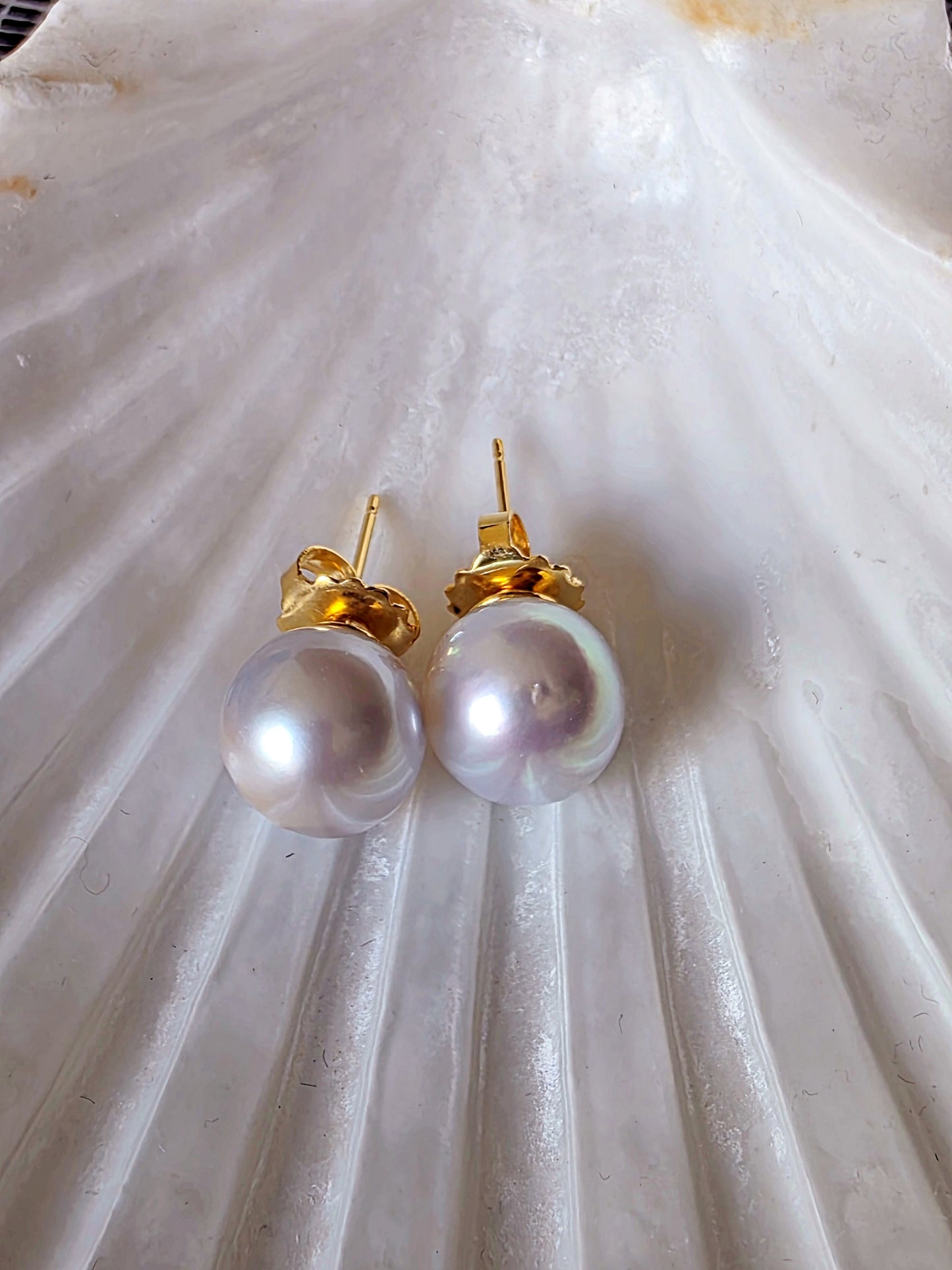 South Sea Pearl Stud Earrings