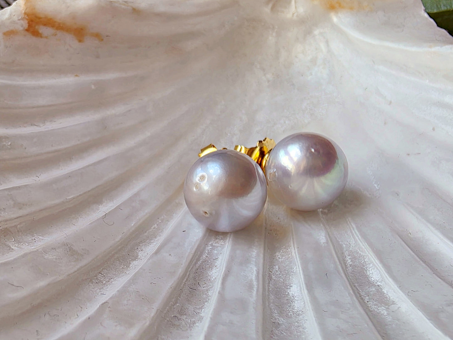 South Sea Pearl Stud Earrings