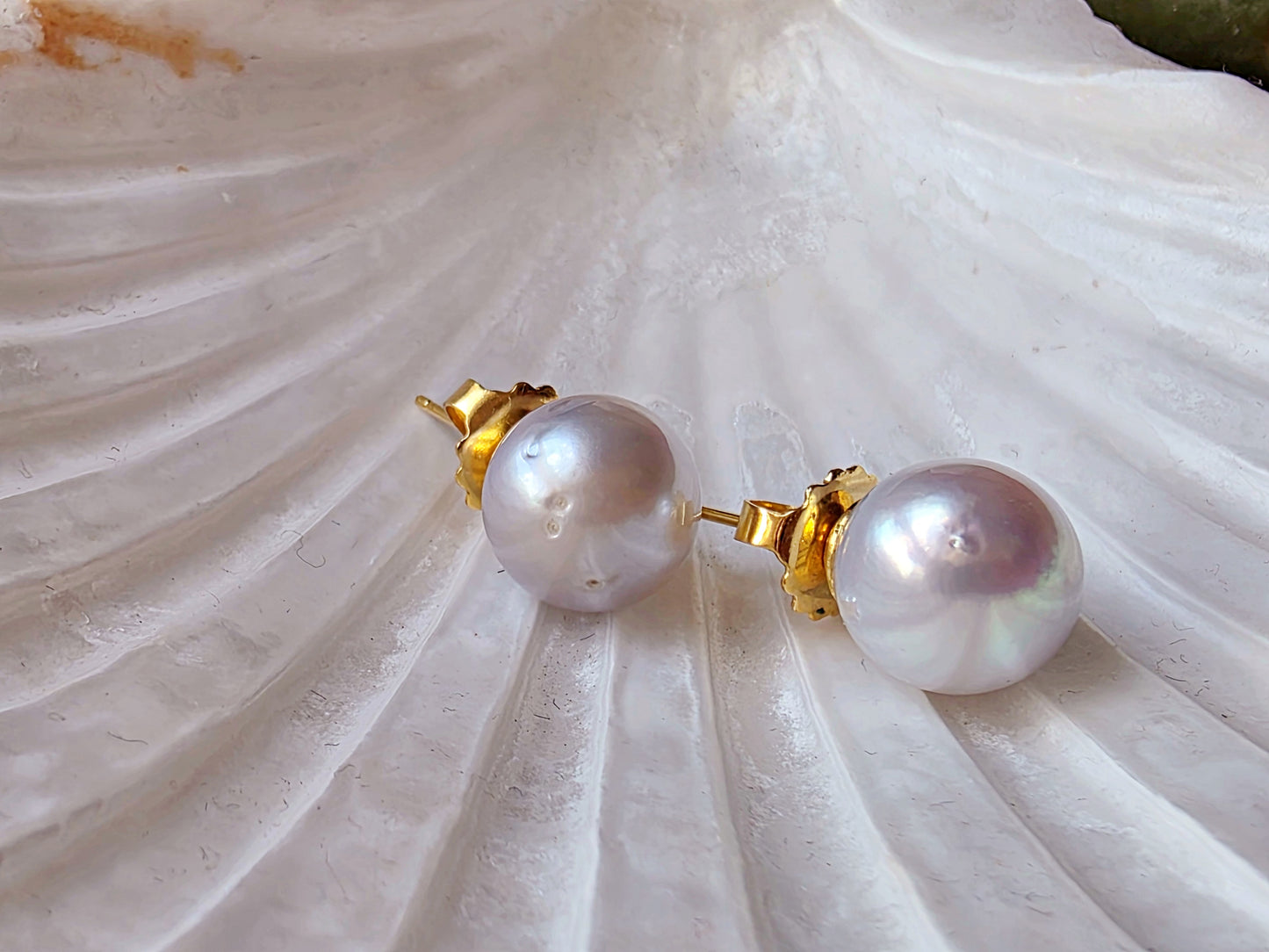 South Sea Pearl Stud Earrings