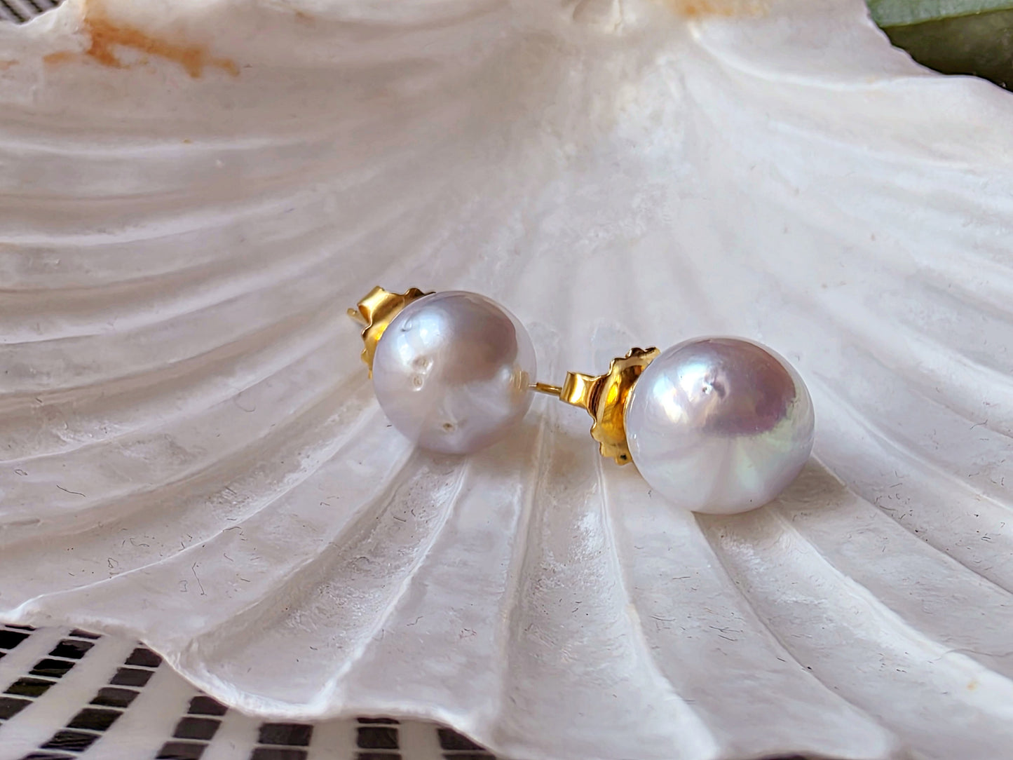 South Sea Pearl Stud Earrings