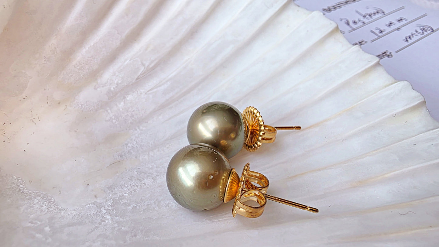 South Sea Pearl Stud Earrings