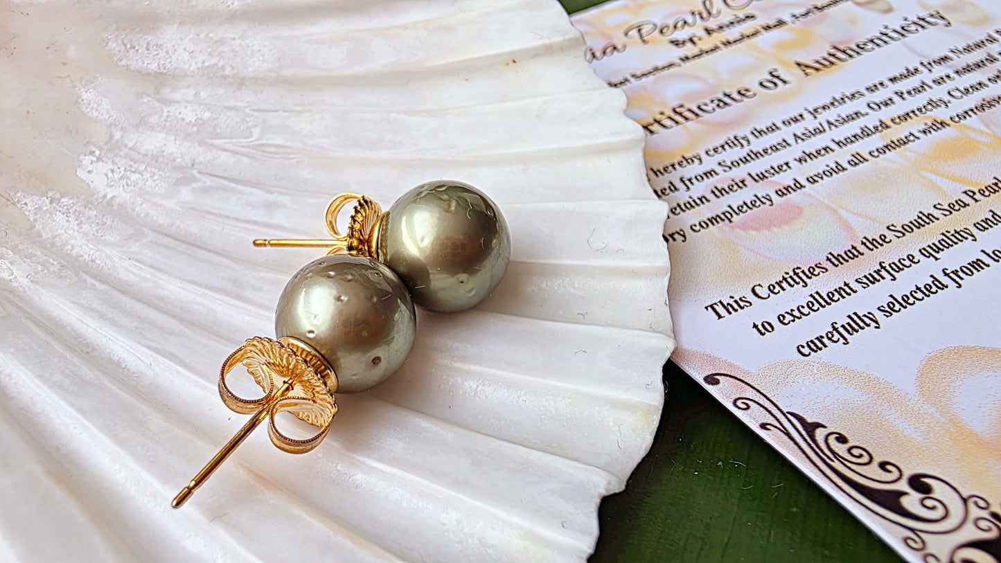 South Sea Pearl Stud Earrings