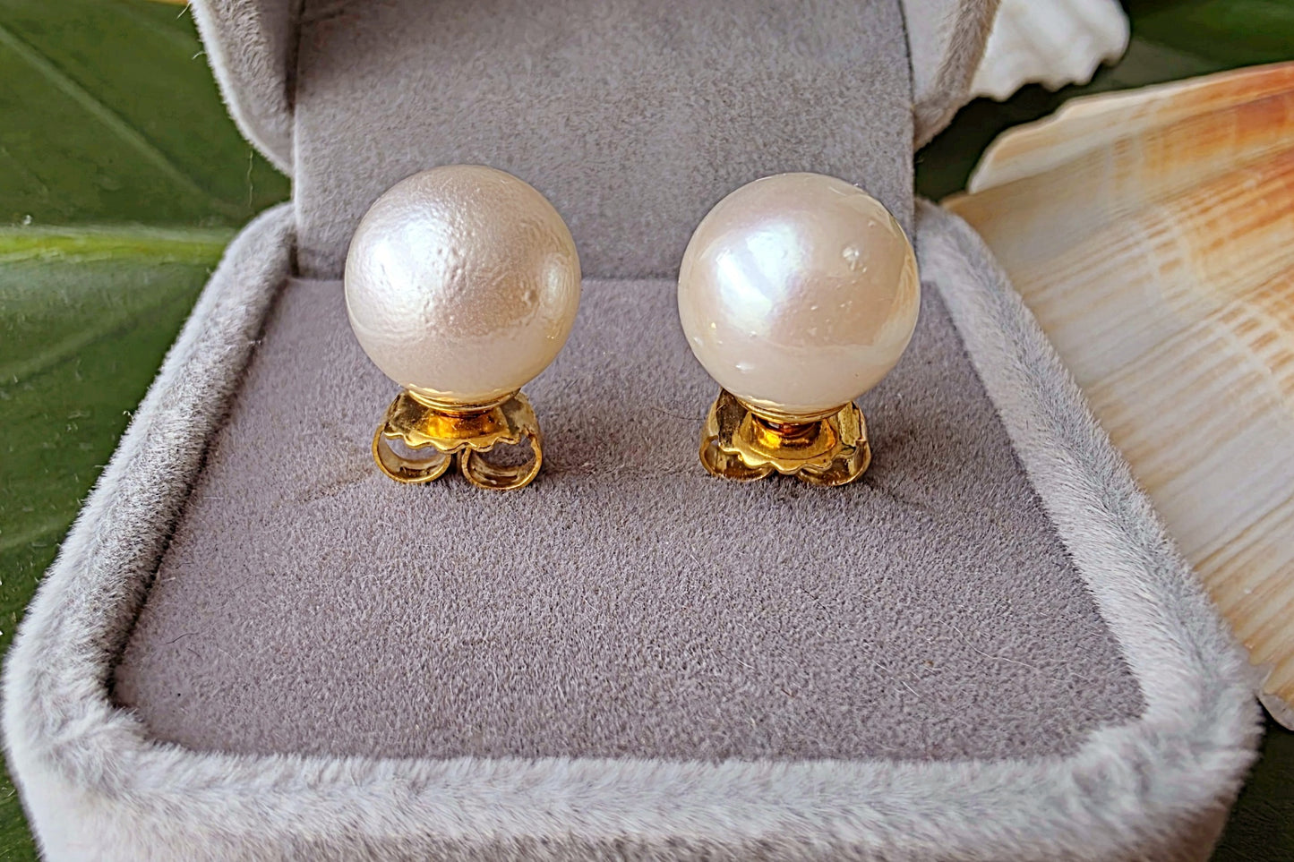 South Sea Pearl Stud Earrings