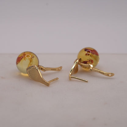 2pc Set - Burmese Honey Amber - Necklace and Earrings