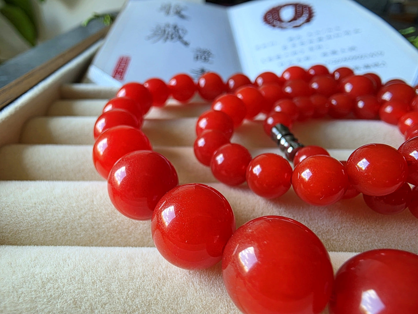 Certified Premium South Red Agate Necklace
