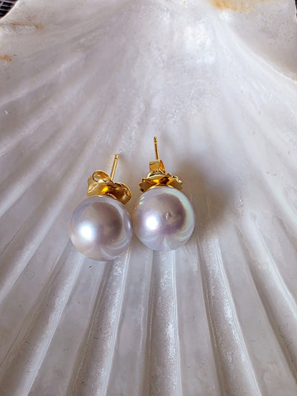 South Sea Pearl Stud Earrings
