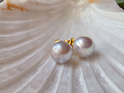South Sea Pearl Stud Earrings