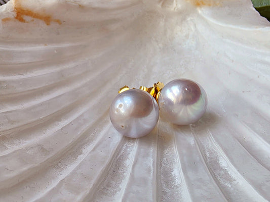 South Sea Pearl Stud Earrings